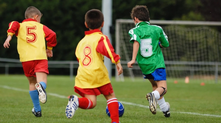 Opportunity for a sports scholarship in Bork Wielkopolski